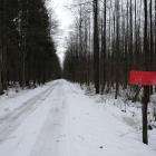 Militarised Polish-Belarus border Kozie Borki natural park